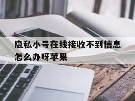 隐私小号在线接收不到信息怎么办呀苹果