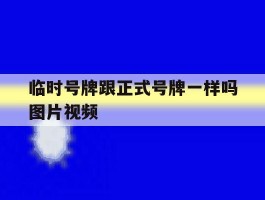 关于临时号牌跟正式号牌一样吗图片视频的信息