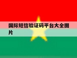 国际短信验证码平台大全图片