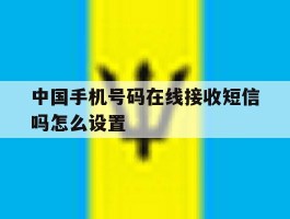 中国手机号码在线接收短信吗怎么设置