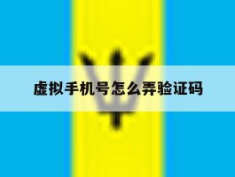 虚拟手机号怎么弄验证码
