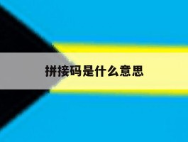 拼接码是什么意思