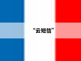 “云短信”