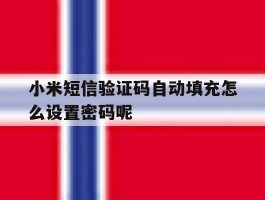 小米短信验证码自动填充怎么设置密码呢