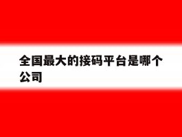 全国最大的接码平台是哪个公司