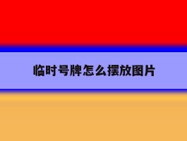 临时号牌怎么摆放图片