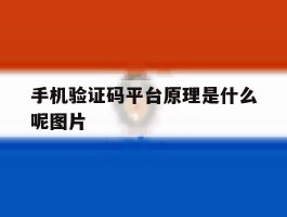 包含手机验证码平台原理是什么呢图片的词条