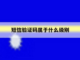 短信验证码属于什么级别