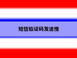 短信验证码发送慢