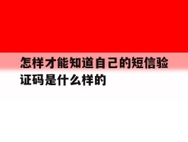怎样才能知道自己的短信验证码是什么样的