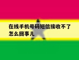 在线手机号码短信接收不了怎么回事儿