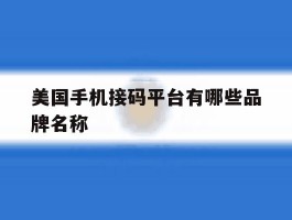 美国手机接码平台有哪些品牌名称