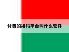 付费的接码平台叫什么软件