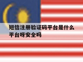 包含短信注册验证码平台是什么平台呀安全吗的词条