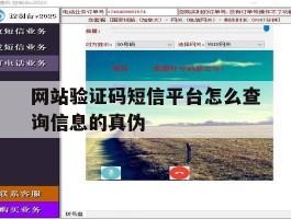 网站验证码短信平台怎么查询信息的真伪