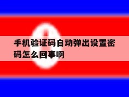 手机验证码自动弹出设置密码怎么回事啊