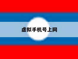 虚拟手机号上网