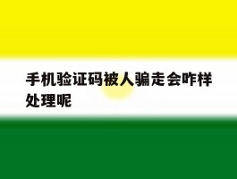 手机验证码被人骗走会咋样处理呢