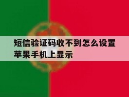 短信验证码收不到怎么设置苹果手机上显示的简单介绍