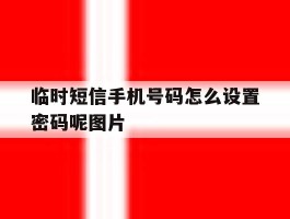 临时短信手机号码怎么设置密码呢图片
