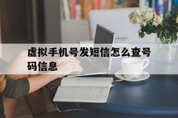 虚拟手机号发短信怎么查号码信息 虚拟手机号发短信怎么查号码信息