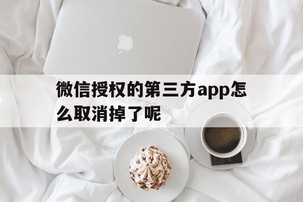 微信授权的第三方app怎么取消掉了呢 微信授权的第三方app怎么取消掉了呢