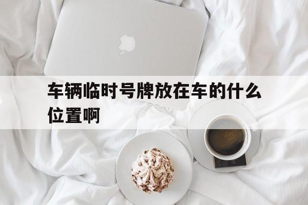 车辆临时号牌放在车的什么位置啊 车辆临时号牌放在车的什么位置啊