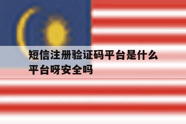 包含短信注册验证码平台是什么平台呀安全吗的词条