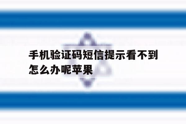 手机验证码短信提示看不到怎么办呢苹果 手机验证码短信提示看不到怎么办呢苹果