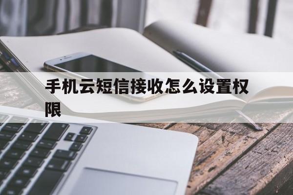 手机云短信接收怎么设置权限 手机云短信接收怎么设置权限