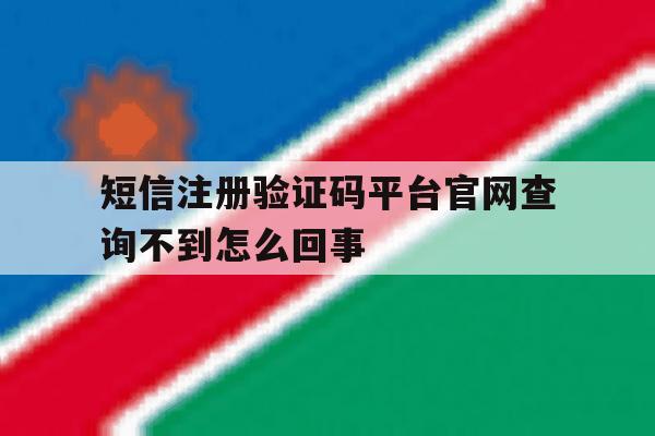 短信注册验证码平台官网查询不到怎么回事