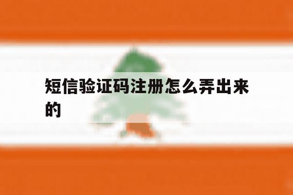 短信验证码注册怎么弄出来的