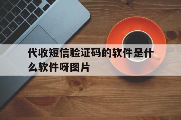 代收短信验证码的软件是什么软件呀图片的简单介绍 代收短信验证码的软件是什么软件呀图片的简单介绍