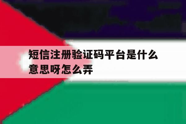 短信注册验证码平台是什么意思呀怎么弄 短信注册验证码平台是什么意思呀怎么弄