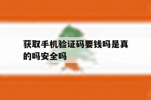获取手机验证码要钱吗是真的吗安全吗的简单介绍 获取手机验证码要钱吗是真的吗安全吗的简单介绍