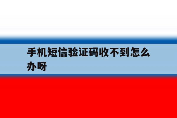 手机短信验证码收不到怎么办呀 手机短信验证码收不到怎么办呀