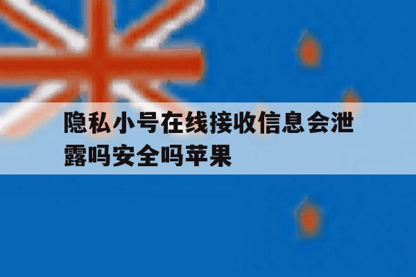 隐私小号在线接收信息会泄露吗安全吗苹果 隐私小号在线接收信息会泄露吗安全吗苹果