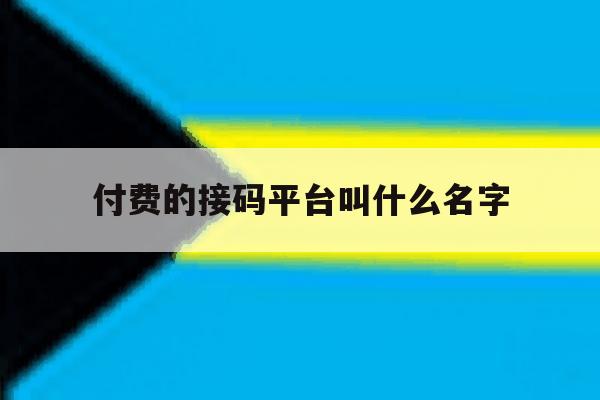 付费的接码平台叫什么名字 付费的接码平台叫什么名字