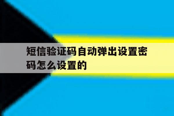 短信验证码自动弹出设置密码怎么设置的 短信验证码自动弹出设置密码怎么设置的
