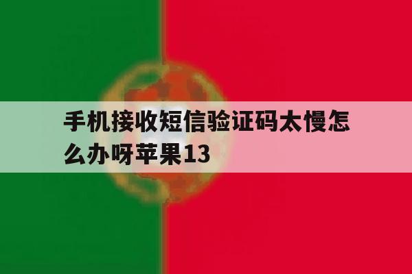 手机接收短信验证码太慢怎么办呀苹果13的简单介绍 手机接收短信验证码太慢怎么办呀苹果13的简单介绍