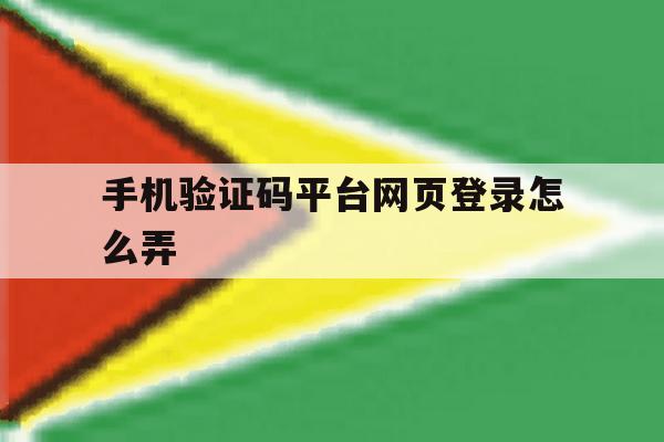手机验证码平台网页登录怎么弄
