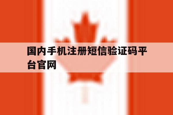 国内手机注册短信验证码平台官网