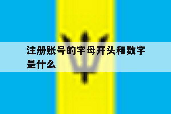 注册账号的字母开头和数字是什么