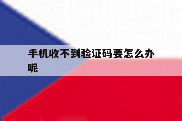 手机收不到验证码要怎么办呢 手机收不到验证码要怎么办呢