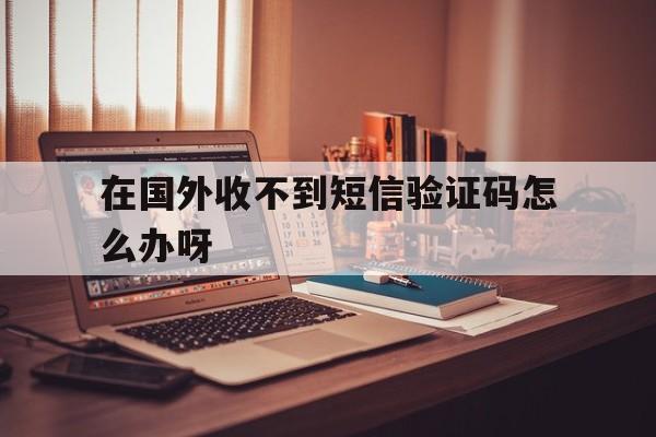 在国外收不到短信验证码怎么办呀 在国外收不到短信验证码怎么办呀