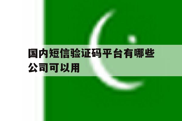 国内短信验证码平台有哪些公司可以用 国内短信验证码平台有哪些公司可以用