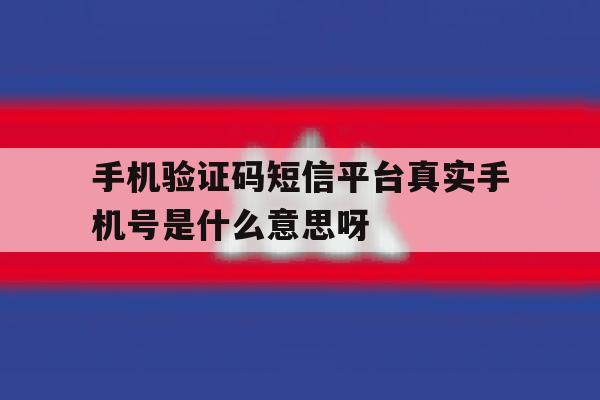 手机验证码短信平台真实手机号是什么意思呀的简单介绍 手机验证码短信平台真实手机号是什么意思呀的简单介绍