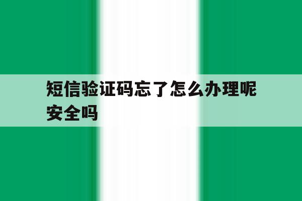 短信验证码忘了怎么办理呢安全吗 短信验证码忘了怎么办理呢安全吗